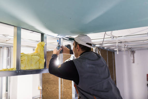 Best Insulation Removal  in Mahnomen, MN