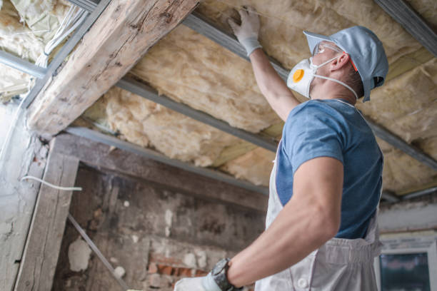 Best Insulation Inspection Services  in Mahnomen, MN