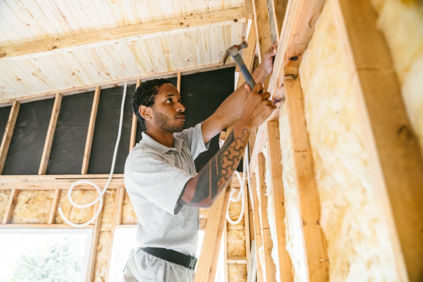 Best Wall Insulation Contractor  in Mahnomen, MN