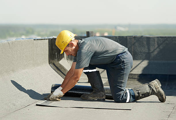 Best Insulation Repair Services  in Mahnomen, MN