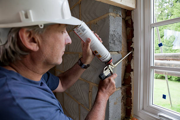 Best Cellulose Insulation  in Mahnomen, MN