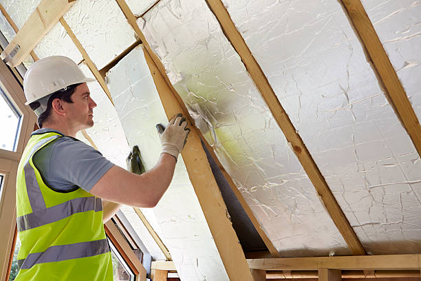 Best Local Insulation Services  in Mahnomen, MN